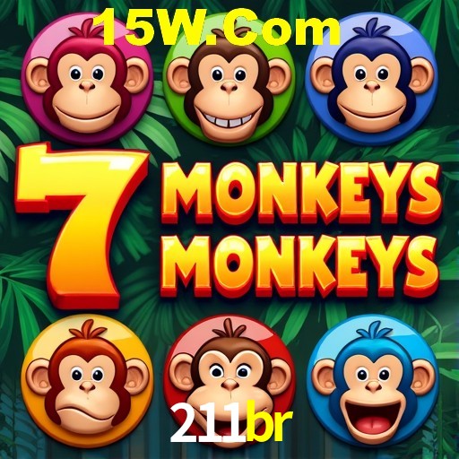 Interface do App 211br